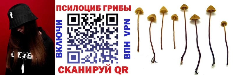 Псилоцибиновые грибы мухоморы  дарнет шоп  Москва 