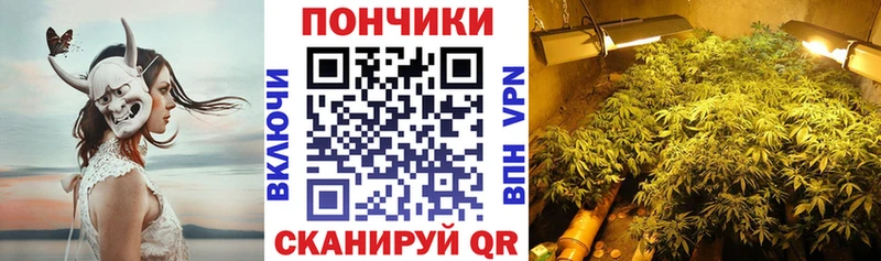 Бошки марихуана OG Kush  что такое   Москва 